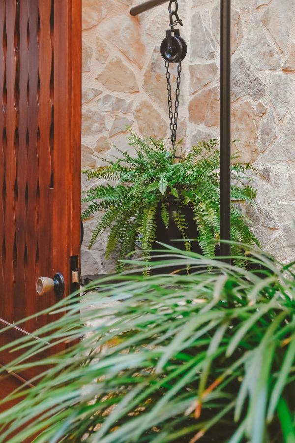 Hostal Can Gallu Cala Ratjada  Dış mekan fotoğraf